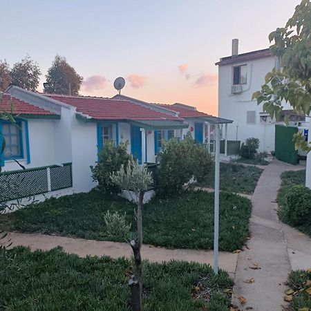 Teos Ormanci Tatil Koyu Hotel Seferihisar Luaran gambar
