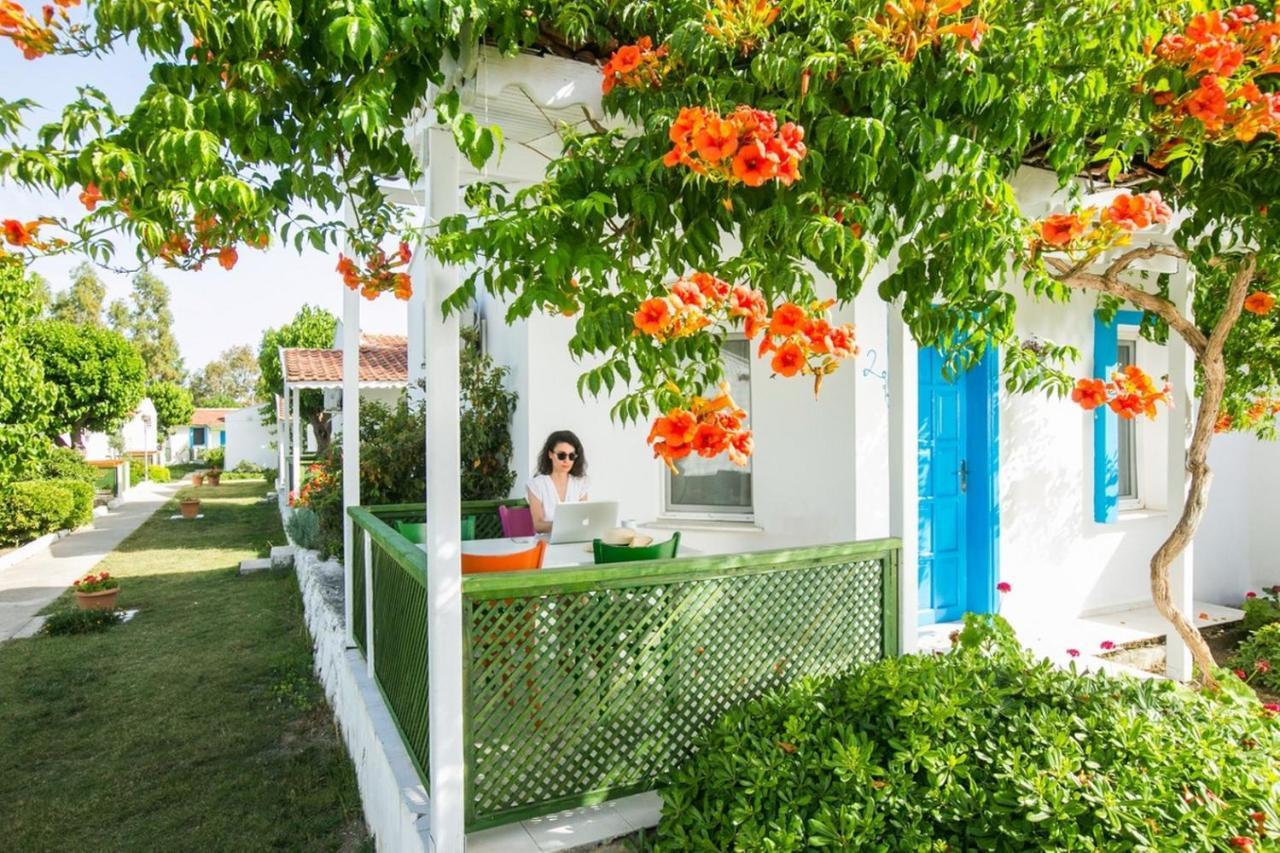Teos Ormanci Tatil Koyu Hotel Seferihisar Luaran gambar
