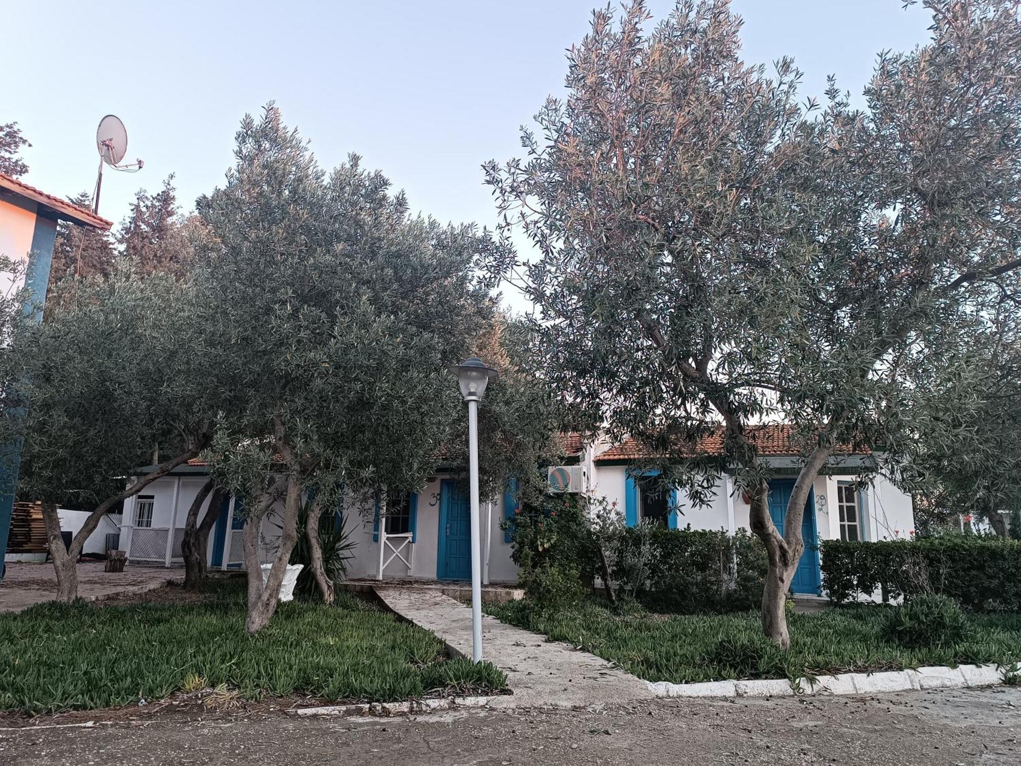 Teos Ormanci Tatil Koyu Hotel Seferihisar Luaran gambar