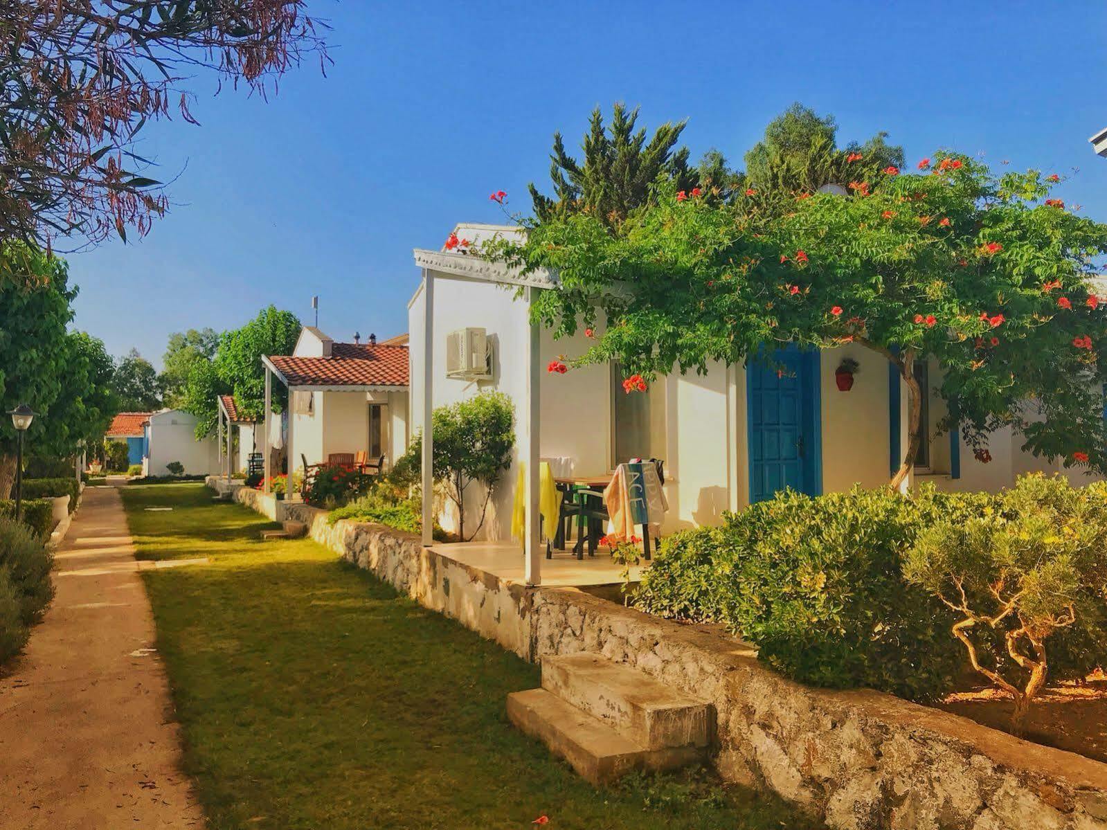 Teos Ormanci Tatil Koyu Hotel Seferihisar Luaran gambar