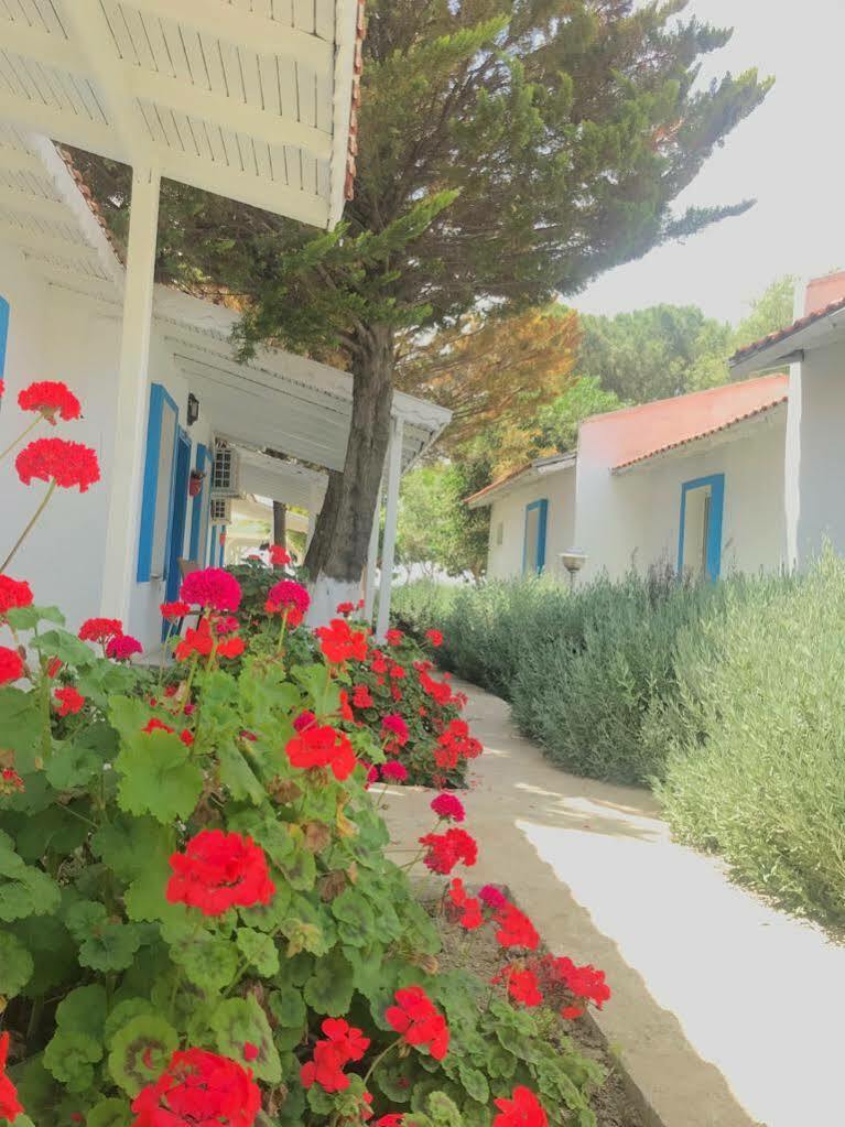 Teos Ormanci Tatil Koyu Hotel Seferihisar Luaran gambar